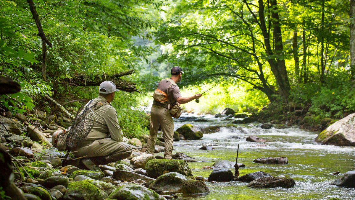 14 Epic Outdoor Adventures for Maximum Fun in North Carolina